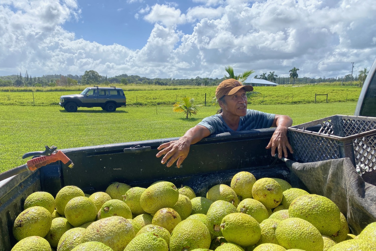 Local Hawaii Farming